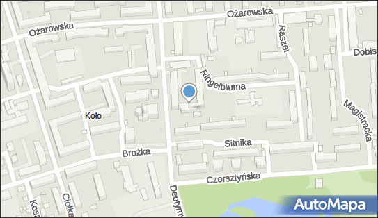 K&ampK Spedycja, ul. Deotymy 52, Warszawa 01-404 - Przedsiębiorstwo, Firma, NIP: 7292700965