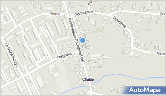 K.w.Auto Serwis Krzysztof Wojtanka, Krakowskie Przedmieście 19 98-200 - Przedsiębiorstwo, Firma, NIP: 8271758262