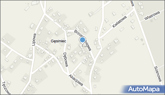 9141219165, Green Grain Dariusz Woźniak 