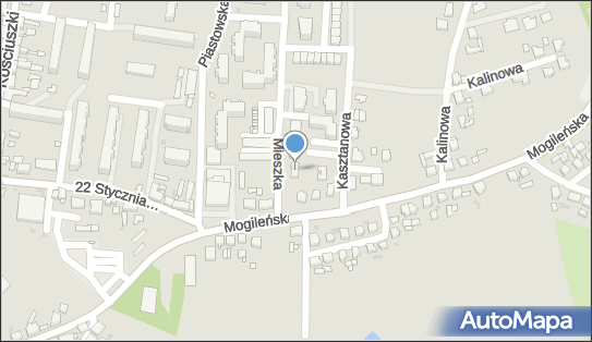 Kaka Transport, Mieszka I 2, Trzemeszno 62-240 - Przedsiębiorstwo, Firma, numer telefonu, NIP: 5571328498