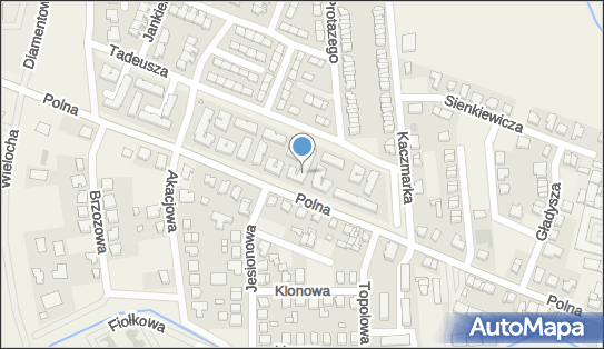 Kamil Piasecki, Polna 86a, Komorniki 62-052 - Przedsiębiorstwo, Firma, NIP: 7671632498