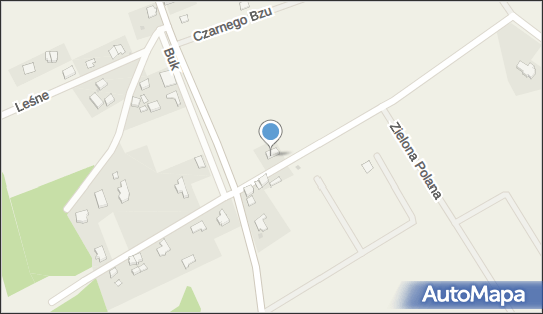 Kancelaria Patentowa Marcin Walkowiak, Buk 3b, Buk 72-003 - Przedsiębiorstwo, Firma, NIP: 9551251501