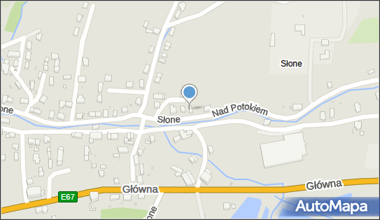 Kantor Wymiany Walut Anna Rembiś, ul. Słone 0, Kudowa-Zdrój 57-350 - Przedsiębiorstwo, Firma, NIP: 8831857368