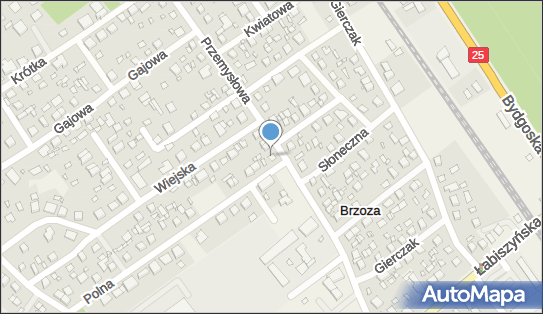 Karol Kaźmierczak, ul. Przemysłowa 5, Brzoza 86-061 - Przedsiębiorstwo, Firma, NIP: 9531841180