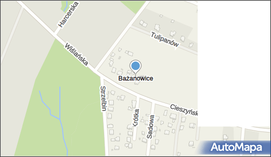 Kastor Kasolik Jacek Torba Bogdan, Bażanowice 80, Bażanowice 43-440 - Przedsiębiorstwo, Firma, NIP: 5482298666