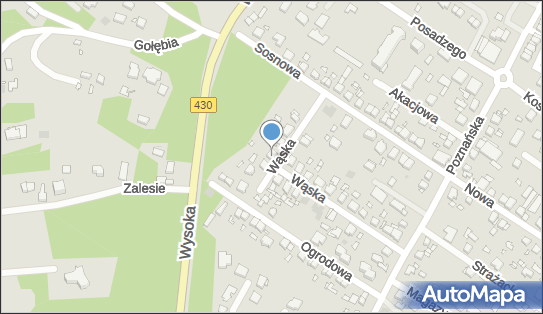 8992364754, Centrum Języków Obcych Active Lingua Katarzyna Bruder 