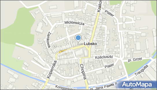 Katarzyna Buś Kantor Wymiany Walut, Plac Wolności 10, Lubsko 68-300 - Przedsiębiorstwo, Firma, NIP: 9281115891