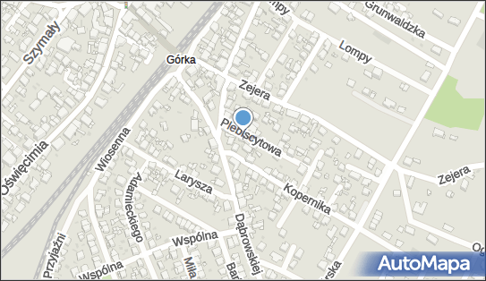 Katarzyna Skowronek, Plebiscytowa 2, Radzionków 41-922 - Przedsiębiorstwo, Firma, NIP: 6452294463