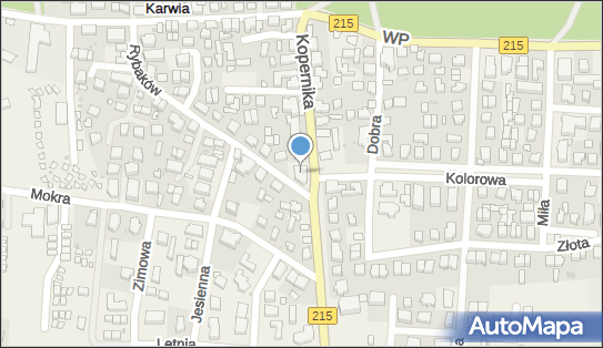 Kawiarnia Max, ul. Mikołaja Kopernika 32, Karwia 84-105 - Przedsiębiorstwo, Firma, NIP: 5871036423