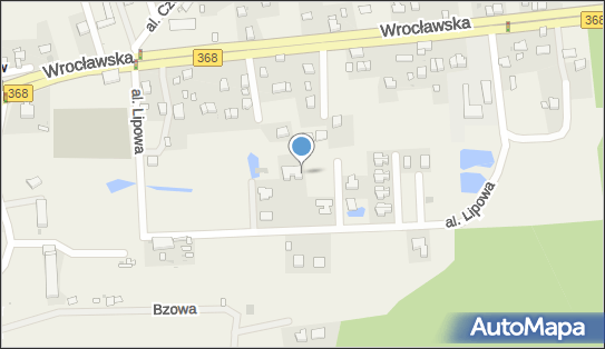 Kazimiera Wilczyńska Bukieciarstwo, al. Lipowa 9A, Byków 55-095 - Przedsiębiorstwo, Firma, NIP: 8951013667