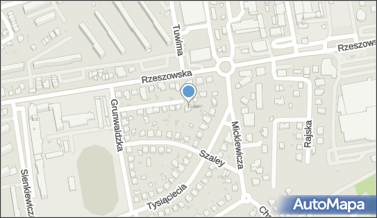 Kazimierz Baran Przedsiębiorstwo Handlowo Usługowe, Dębica 39-200 - Przedsiębiorstwo, Firma, NIP: 8721009886