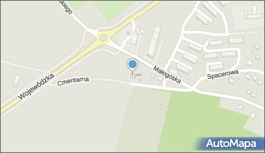 Kazimierz Jarząbek Zakład Kamieniarsko - Nagrobkowy, Małogoska 78 26-060 - Przedsiębiorstwo, Firma, NIP: 6571053754