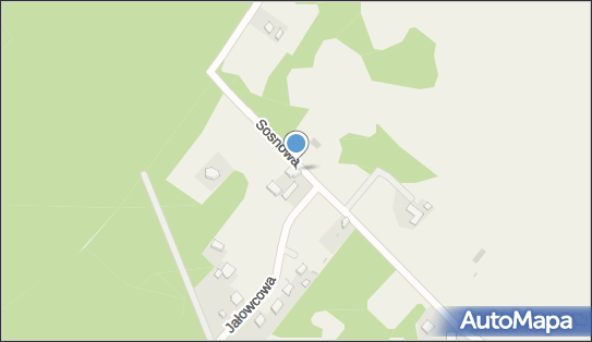 5991893986, Kierowanie Pojazdami Sylwester Kaczmarzewski 