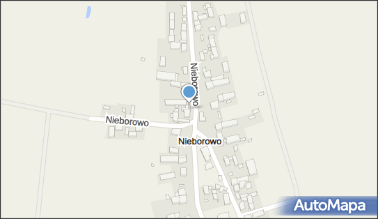 Kierowca Samochodu, Nieborowo 25a, Nieborowo 74-202 - Przedsiębiorstwo, Firma, NIP: 8531084005