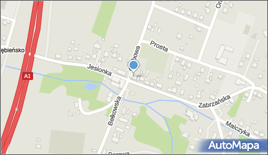 Kiosk Ruch, Zabrzańska 1, Czerwionka-Leszczyny 44-230 - Przedsiębiorstwo, Firma, NIP: 6421496467