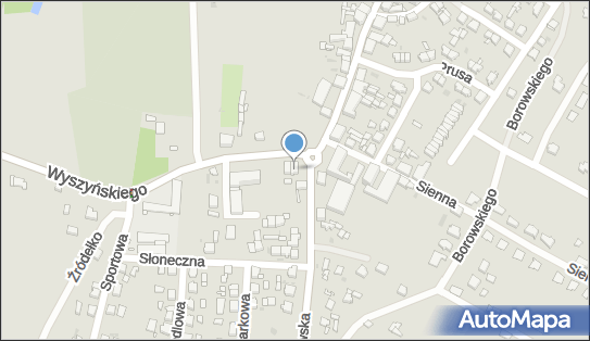 Kiosk Wielobranżowy, ul. kard. Stefana Wyszyńskiego 0, Trzemeszno 62-240 - Przedsiębiorstwo, Firma, NIP: 7842390488