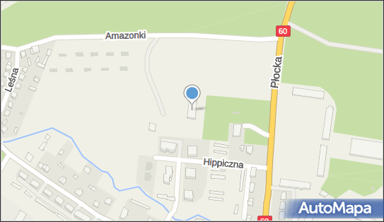 Klub Jeździecki Łąck przy Stadzie Ogierów w Łącku, Amazonki 3 09-520 - Przedsiębiorstwo, Firma, NIP: 9710496067