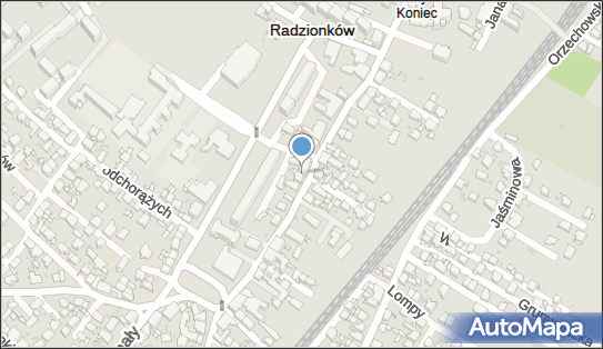 Klub Sportowy Ruch Radzionków z Siedzibą w Radzionkowe 41-922 - Przedsiębiorstwo, Firma, numer telefonu, NIP: 6452241225