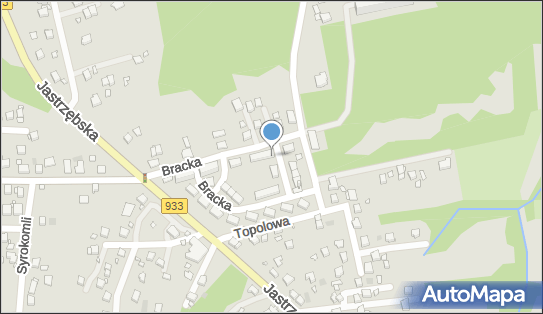 Klub Towarzystwa Krzewienia Kultury Fizycznej Balaton w Wodzisławiu Śląskim 44-300 - Przedsiębiorstwo, Firma, numer telefonu, NIP: 6472228015