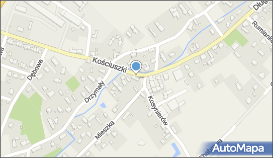 Koala, ul. Kościuszki 2, Świdnica 66-008 - Przedsiębiorstwo, Firma, NIP: 9730149765