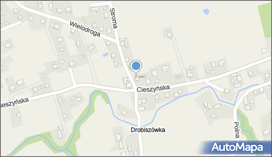 5481304519, Jan Kobielusz 