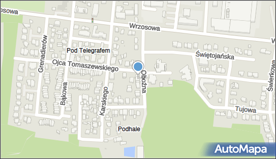 Kokojajo, Oboźna 22, Kielce 25-212 - Przedsiębiorstwo, Firma, numer telefonu, NIP: 6572549687