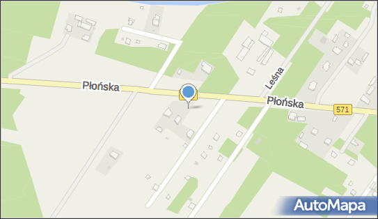 Koliba Borkowo Magdalena Świątkowska, Płońska 43, Borkowo 05-192 - Przedsiębiorstwo, Firma, NIP: 5311174963