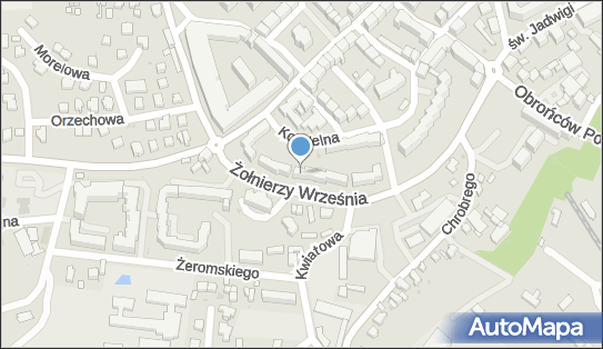 Koliber, ul. Żołnierzy Września 26, Trzebnica 55-100 - Przedsiębiorstwo, Firma, numer telefonu, NIP: 9151321853