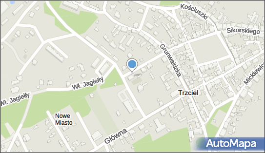 Komitet Wyborczy Wyborców Razem, ul. Władysława Jagiełły 3 66-320 - Przedsiębiorstwo, Firma, NIP: 5961747978