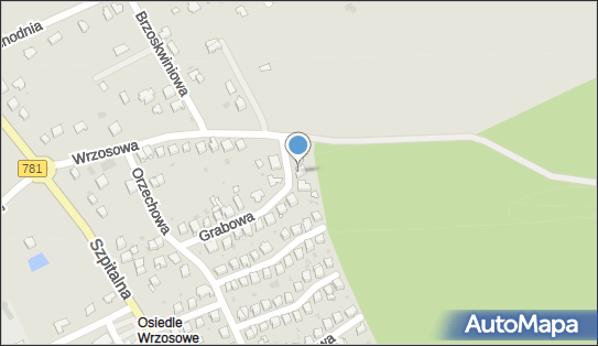 Komitet Wyborczy Wyborców Tomasza Brożka, ul. Grabowa 24 32-500 - Przedsiębiorstwo, Firma, NIP: 6282262629