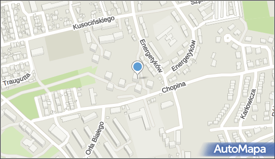 6152045052, Komitet Wyborczy Wyborców Wojciecha Dobrychłop Lepsza Bogatynia 