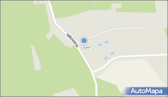 Kompleksowa Naprawa Pojazdów Samochodowych, Miłoleśna 35 86-300 - Przedsiębiorstwo, Firma, NIP: 8762135205