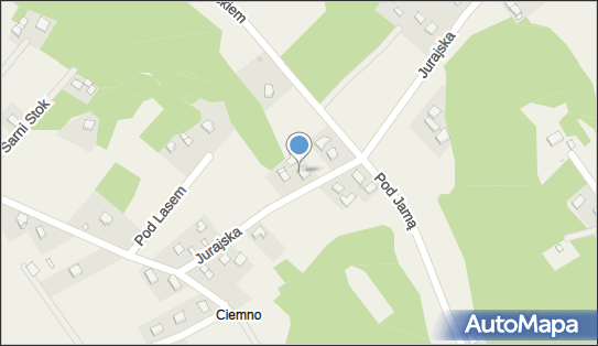 6771235164, Koncesjonowany Przewóz Towarów Adam Muzyk 