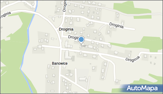 Koncesjonowany Przewóz Towarów, Droginia 23, Droginia 32-400 - Przedsiębiorstwo, Firma, NIP: 6811459971