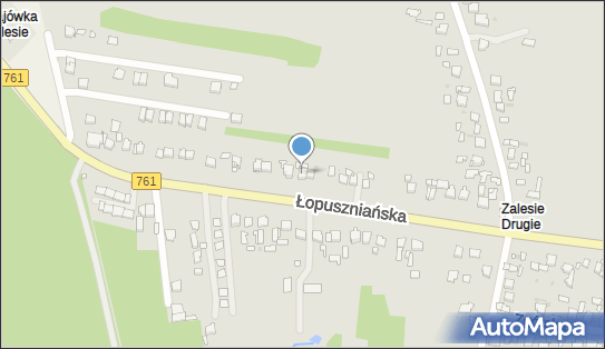 Koncesjonowany Przewóz Towarów, ul. Łopuszniańska 40, Kielce 26-820 - Przedsiębiorstwo, Firma, NIP: 9590817361