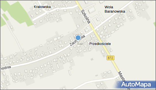 8671968632, Mystek Anna Konfekcjonowanie i Malowanie Wyrobów Firankowych 