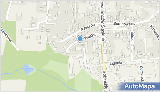 Konsultant It, Wąska 6, Koszęcin 42-286 - Przedsiębiorstwo, Firma, NIP: 5751448784