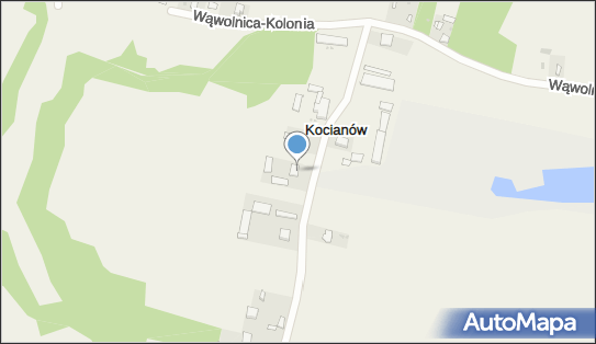 Kopalnia Piasku Bogusław Wiśniewski, Kocianów 8, Kocianów 24-332 - Przedsiębiorstwo, Firma, NIP: 7171334881