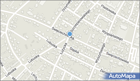 Korepetycje Leszno, Święciechowska 34, Leszno 64-100 - Przedsiębiorstwo, Firma, NIP: 6971459939