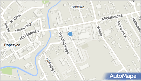 Korepetycje, ul. Konopnickiej 2, Ropczyce 39-100 - Przedsiębiorstwo, Firma, NIP: 8181122626