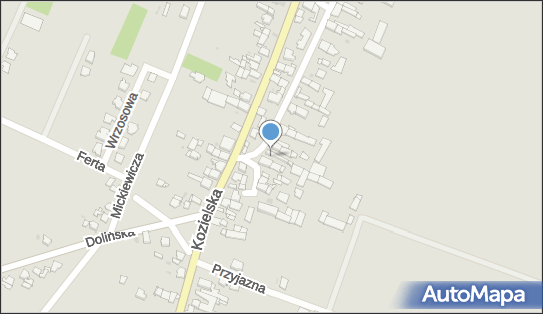 Kornel Pszowski P.H.U.Vmax Auto Serwis, Mostowa 18 47-100 - Przedsiębiorstwo, Firma, NIP: 7561834752