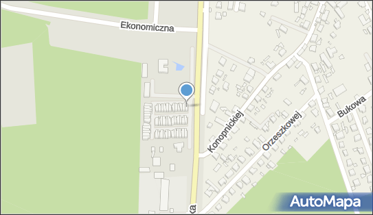 Kosmetyki Profesjonalne Waldemar Łopato, Zielonogórska 81 67-100 - Przedsiębiorstwo, Firma, NIP: 9251508798