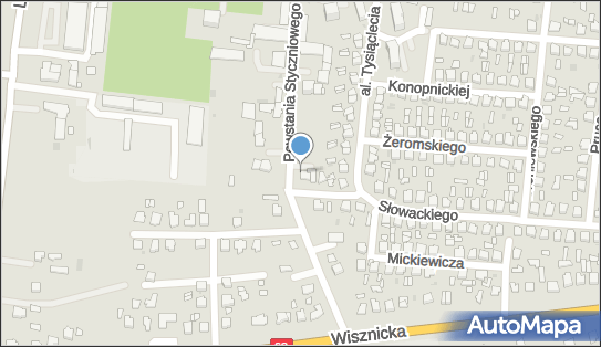 Kot Dorota Nóżka Stacja Kontroli Pojazdów, Radzyń Podlaski 21-300 - Przedsiębiorstwo, Firma, NIP: 5381615071