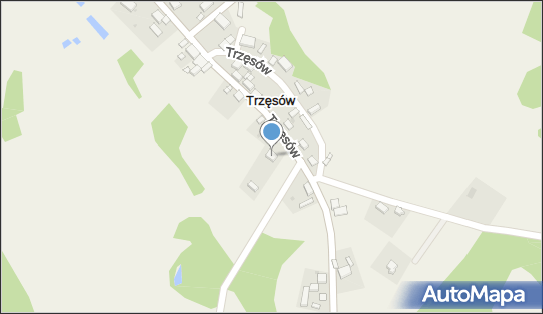 6922178560, Kwiaciarnia Stokrotka Kozak Mariusz 