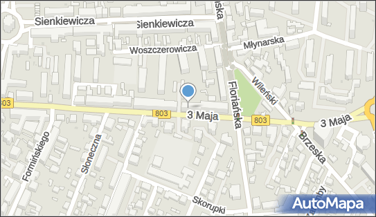 Krajowe Towarzystwo Autyzmu Oddział w Siedlcach, ul. 3 Maja 16 08-110 - Przedsiębiorstwo, Firma, numer telefonu, NIP: 8212347563