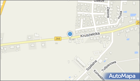 Krajowy Transport Drogowy Osób, Czołowo 108H, Czołowo 88-200 - Przedsiębiorstwo, Firma, NIP: 8891060610