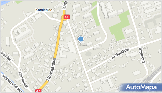 Krajowy Zarobkowy Przewóz Osób Taksówką Osobową, Zakopane 34-500 - Przedsiębiorstwo, Firma, NIP: 7361199937