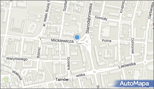 Krystian Gabriel Usługi Transportowe, ul. Adama Mickiewicza 29 33-100 - Przedsiębiorstwo, Firma, NIP: 8733169696