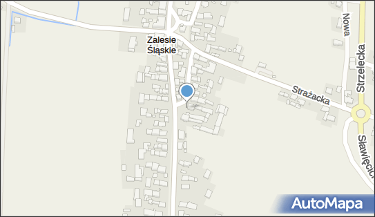 Krystyna Greif, Zalesie Śląskie 18, Zalesie Śląskie 47-150 - Przedsiębiorstwo, Firma, NIP: 7491360727