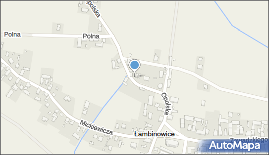 Krystyna Janicka, ul. Opolska 8, Łambinowice 48-316 - Przedsiębiorstwo, Firma, NIP: 7531496173